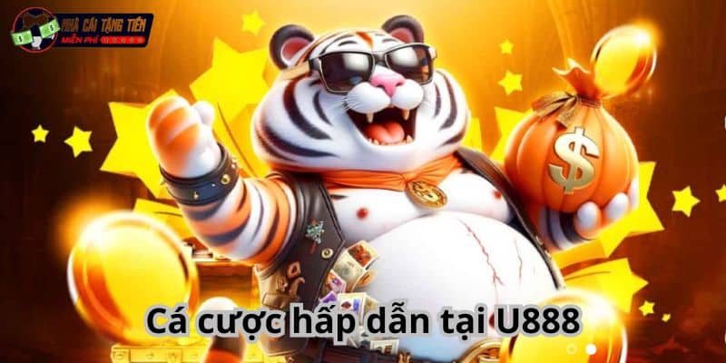 Cá cược hấp dẫn tại U888